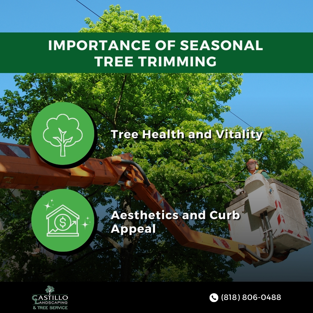 Castillo Landscaping and Tree Service (@castillo_tree) / Posts / X
