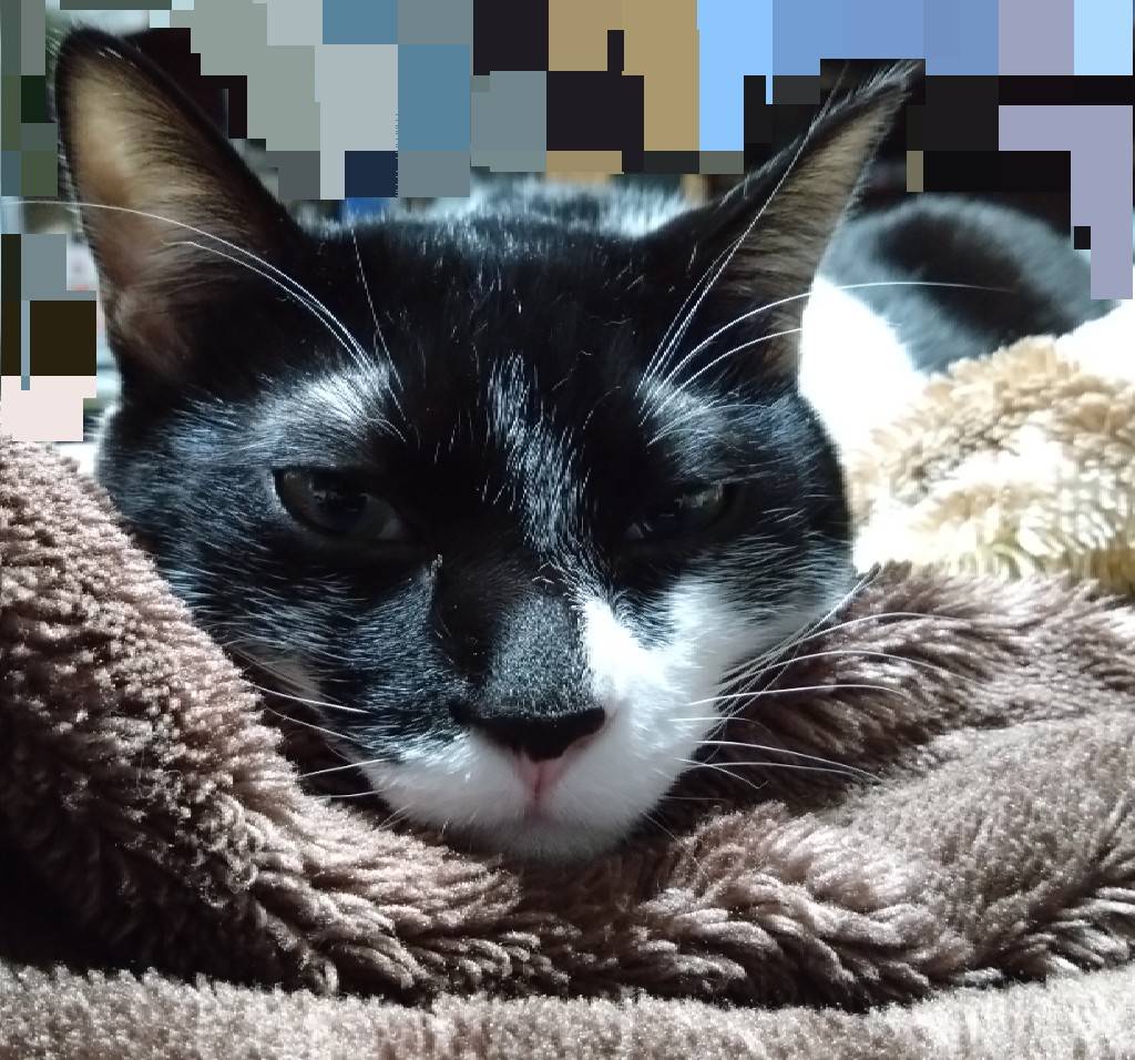 たっくん tweet media