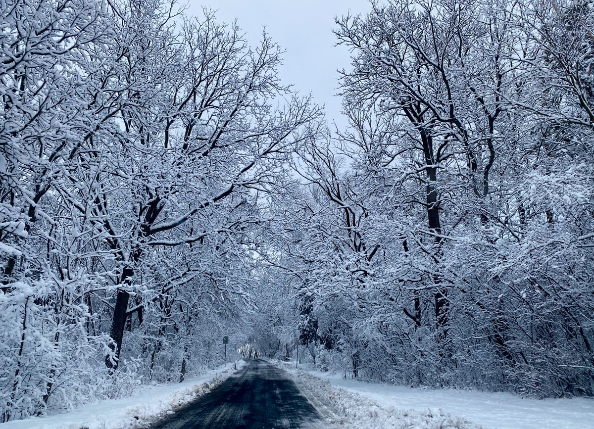 Cool morning commute. The world draped in snow, a reminder to find beauty in the everyday. Off to work with a fresh perspective! ❄️🌳 #MorningMotivation #WinterWonder