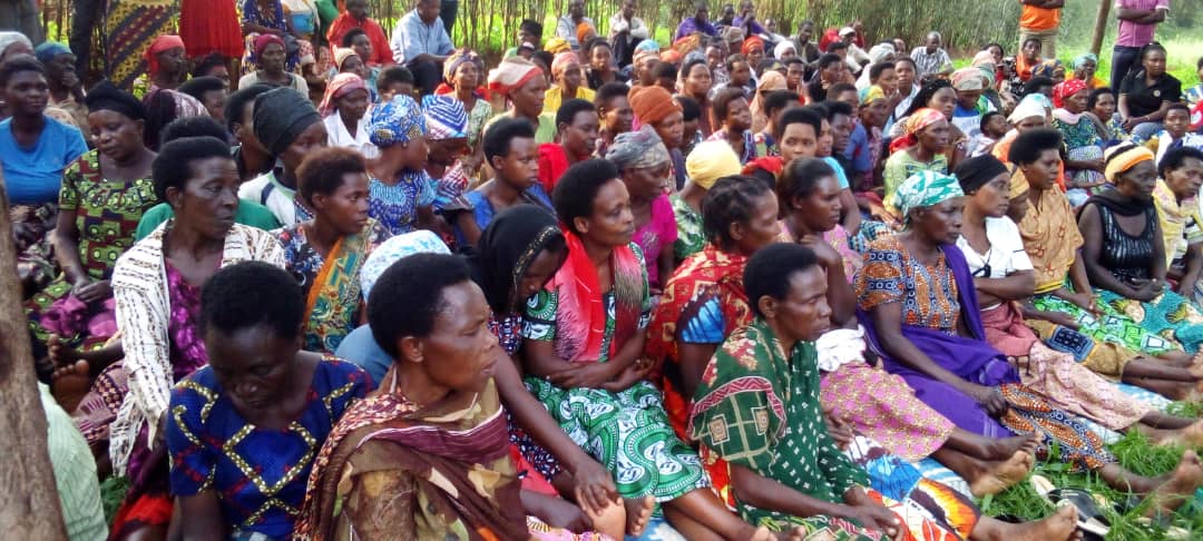 Musha Sector tweet media