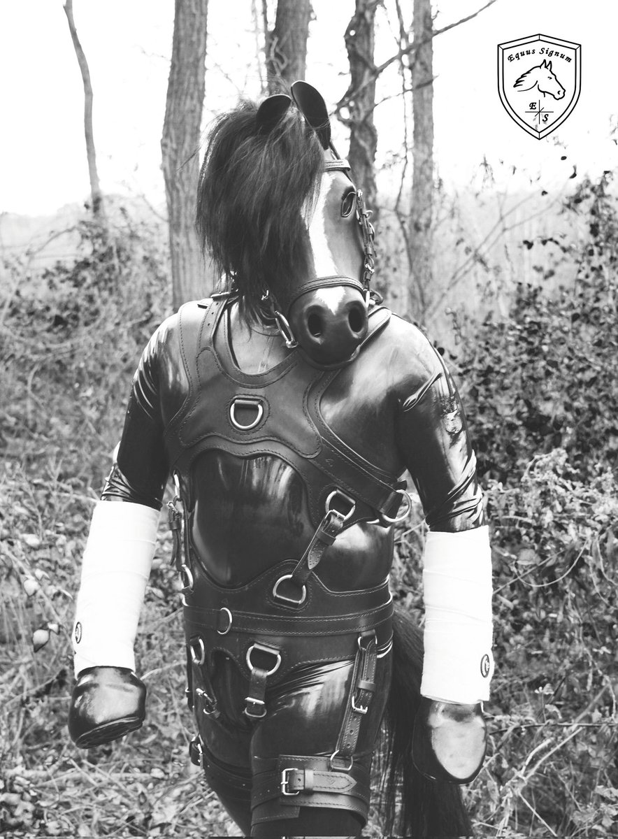 Let's go to nature with me :-P

Gear: Equus-signum.cz
Pony: <a href="/FlySky4242/">Sky (Chicago) ➡️ MIR, MFF</a> ( Twitter/X) 
Photo by: <a href="/LeonKitty1/">LeonKitty~</a> (Twitter/X) 

#ponyplay #latexpony #rubberpony #latexhorse #rubberhorse #latexchristmas #horsehood #horsemask #leatherharness #equussignum