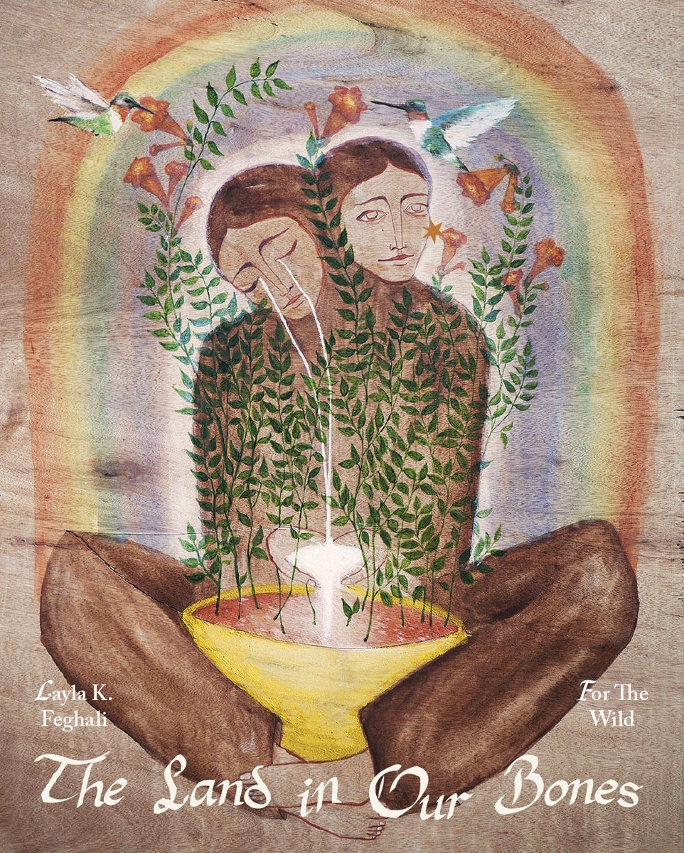 For The Wild tweet media