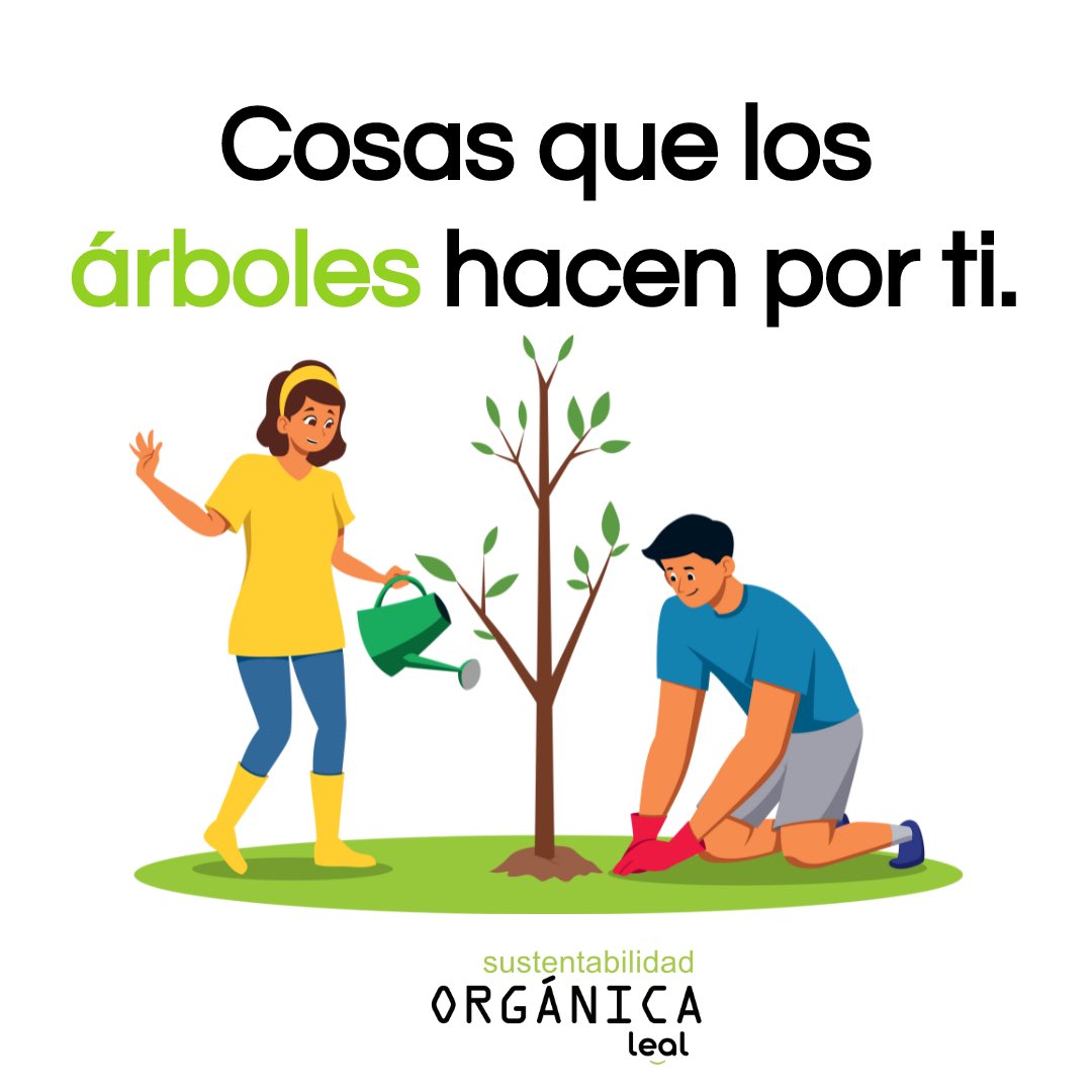 LupitaLeal_'s tweet photo. Los árboles 🌳 son los pulmones  de nuestras ciudades, por ello debemos legislar por su conservación, restitución, cuidado y promover su incremento y desarrollo para tener una #PueblaArbolada 

Seguiremos trabajando para que pronto sea aprobada en el @CongresoPue la #LeyArboladoUrbanoPuebla 

Conócela y compártela 👇🏻

https://t.co/SpulBYXRjF