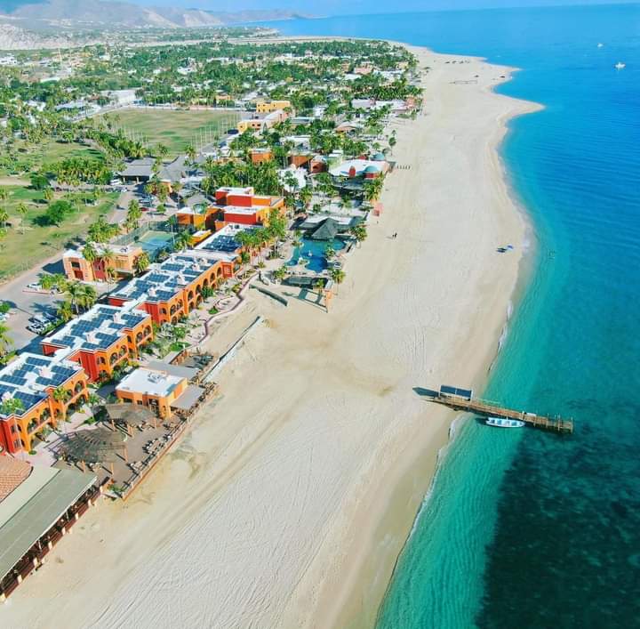 BajaShuttle's tweet photo. Los Barrels Baja California Sur, as many know, this beautiful town has grown more than 300%, Boutique hotels and Airbnb are the resting places most sought after by tourists due to the tranquility experienced in their bays and nearby colonies. https://t.co/tmCzxcVzy3