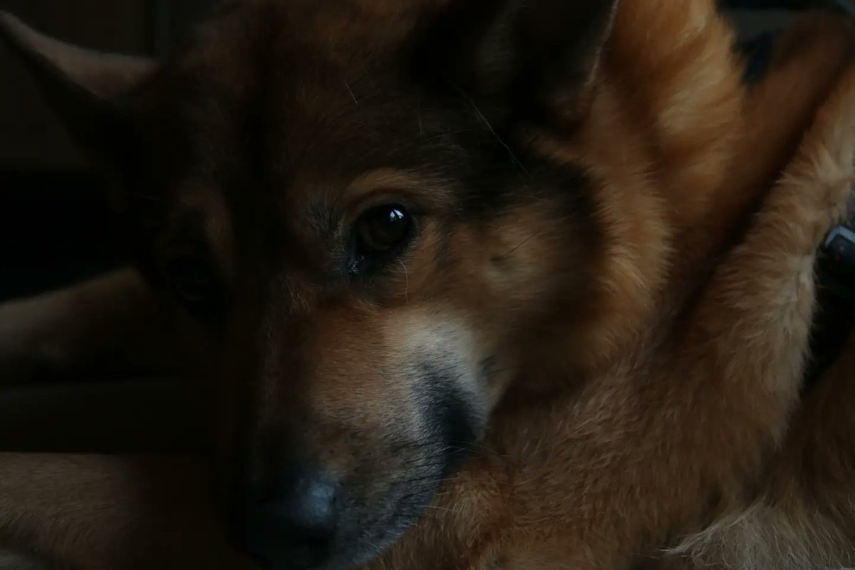 Photography course stuff