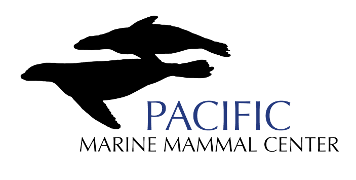 MalibuDivers's tweet photo. Tonight 5 pm PT, free zoom webinar on PMMC, Pacific Marine Mammal Center. 
Come join us!
Pre-registration is easy and you'll be with like minded divers and nondivers.

https://t.co/EC9dsji5Va https://t.co/rVNz0TTZPe