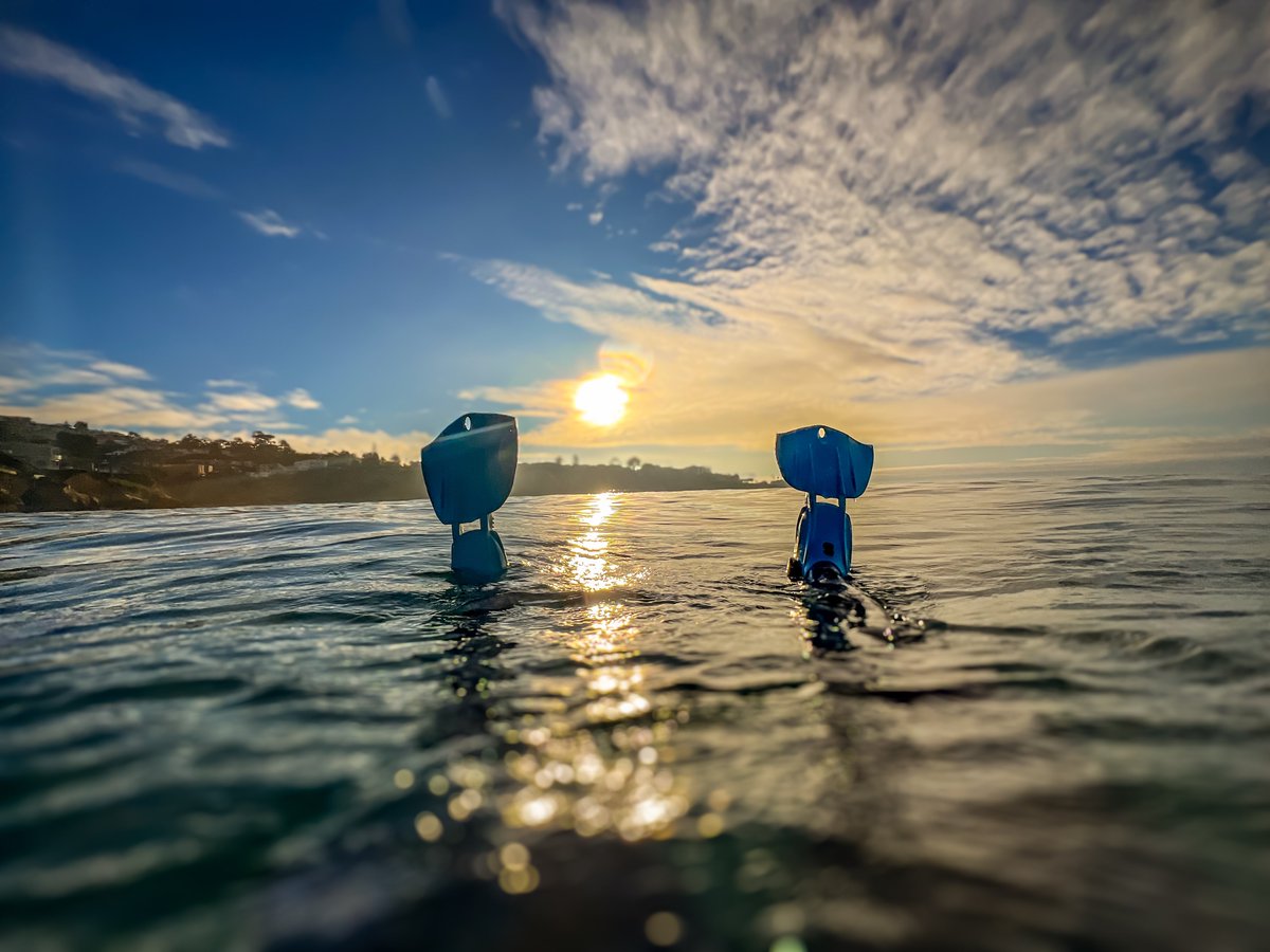 TreasuresAA's tweet photo. “The Pond” Everyday #5

Join me on this creative adventure as I create a new piece of art and share it with you everyday. Let me know what you think in the comments! 💙

#art #photographer #photography #videographer #sealifecamera #ocean #sandiego #lajolla #California https://t.co/dka2y0zYdt