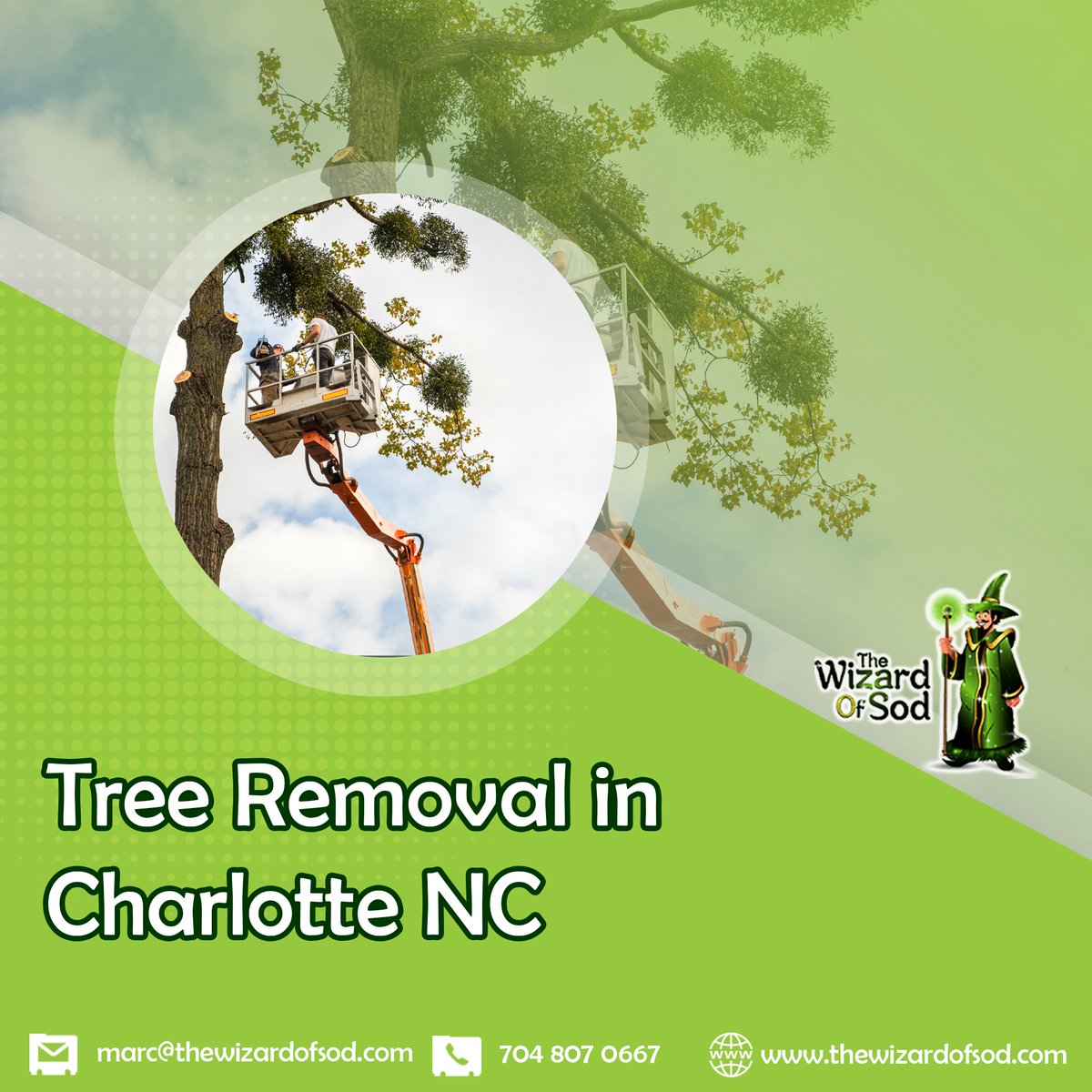 WizardSod's tweet photo. Give us a Ring for tree removal services
📷 𝟕𝟎𝟒-𝟖𝟎𝟕-𝟎𝟔𝟔𝟕
#treeremoval #services #charlotte #northcarolina #queencity #huntersville #matthews #thewizardofsod #SmallBusiness #businessinnorthcarolina https://t.co/LV9YKuadxG