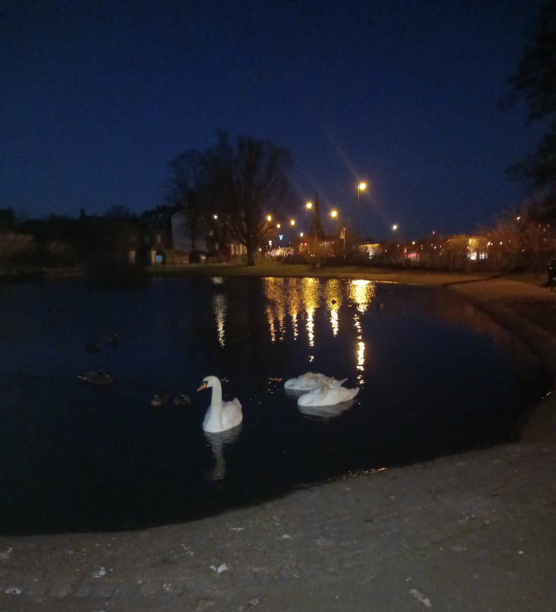 PPaulstephen's tweet photo. My 1st early morning #runcommute in ages. 

It's great to be our running again consistently, let's hope it continues 🤞
#TrustTheProcess 
#gettingitdone https://t.co/jrxhtnVw4k
