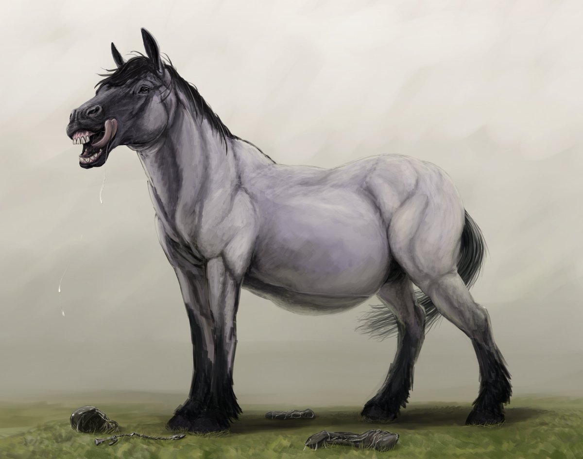Mawrally Ambiguous Wyvern tweet media