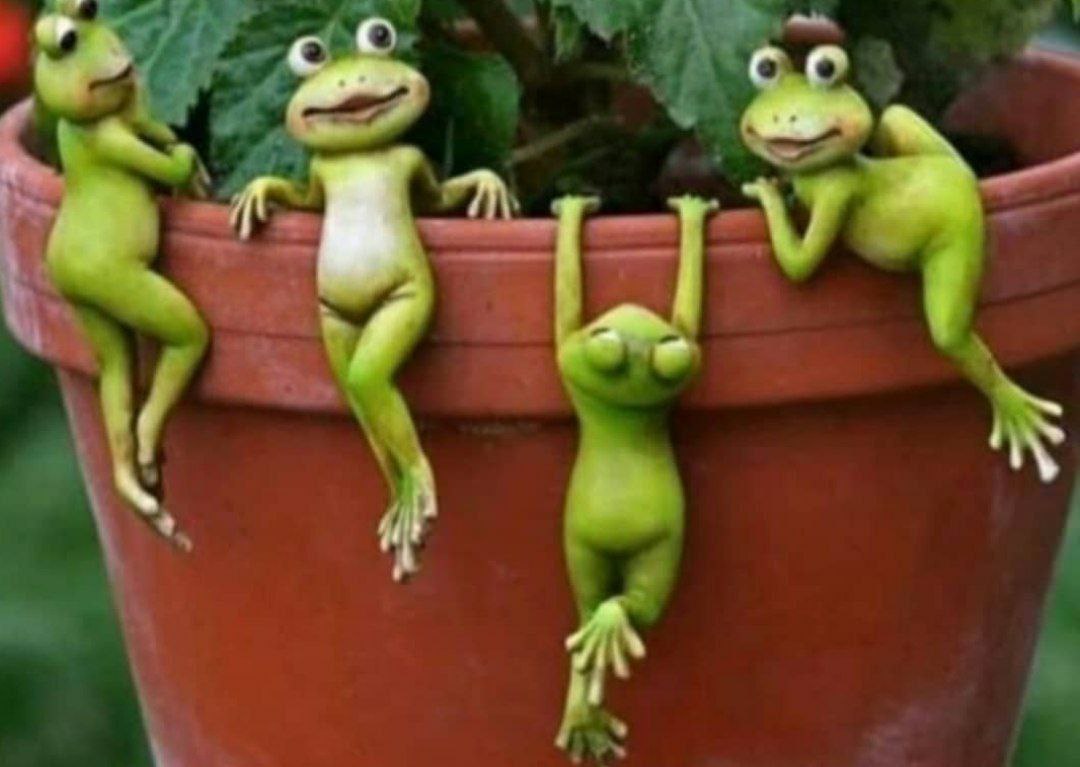 بابک.. tweet media