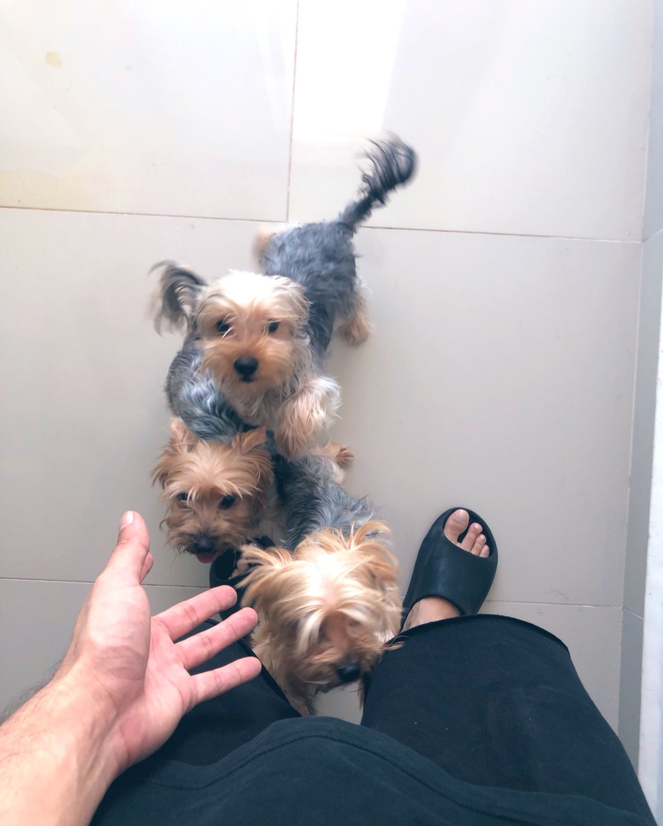 carloooo____'s tweet photo. Gracias Dios por haberme permito estar en casa 🙌🏻 Nos vamos con el cora llenito y remotivado ❤️‍🩹❤️‍🩹🔋🔋 https://t.co/KgogK6kOl3