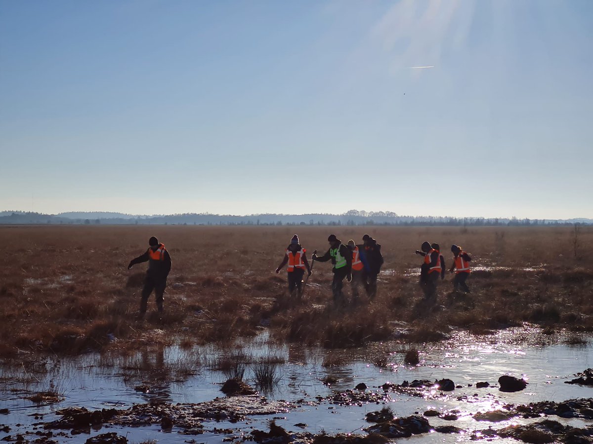 Jacob de Bruin 🐜 tweet media