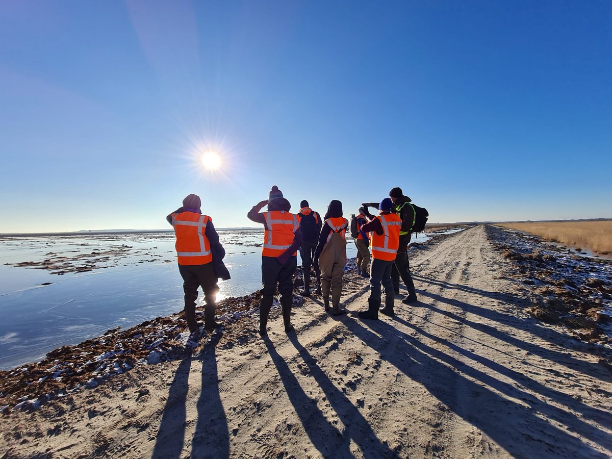 Jacob de Bruin 🐜 tweet media