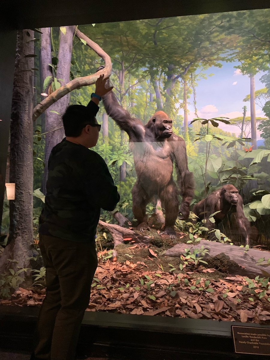 Upper Merion SAIL tweet media