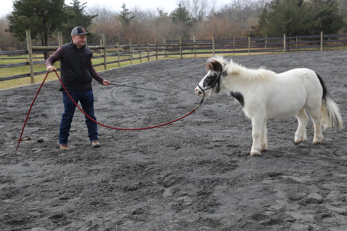 warrior_ranch's tweet photo. MTA Police Officer and Warrior Ranch participant, Mike Lanzeta, discovered horses in childhood and now coaches at our retreats. He trains horses for adoption while aiding veterans/first responders, sharing expertise in horsemanship. Proud to have Mike on the  team! #equinetherapy https://t.co/dw7SNtpzYJ