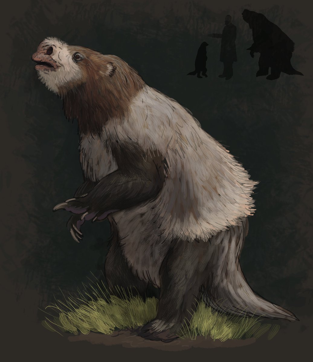 JoschuaKnuppe's tweet photo. Because of my exploration of bipedal sloths in a recent stream I was inspired by doodle some more.
Hapalops, Paramylodon, Megalonyx and Eremotherium (they are roomates).
We will continue this on the coming Saturday! Get ready for #SlothStream https://t.co/mMLlEokI6D