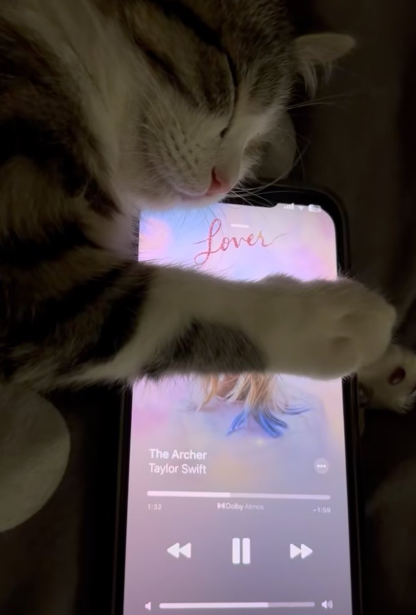 i am the archer and the archer is me