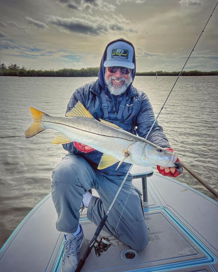 WAYPOINT tweet media