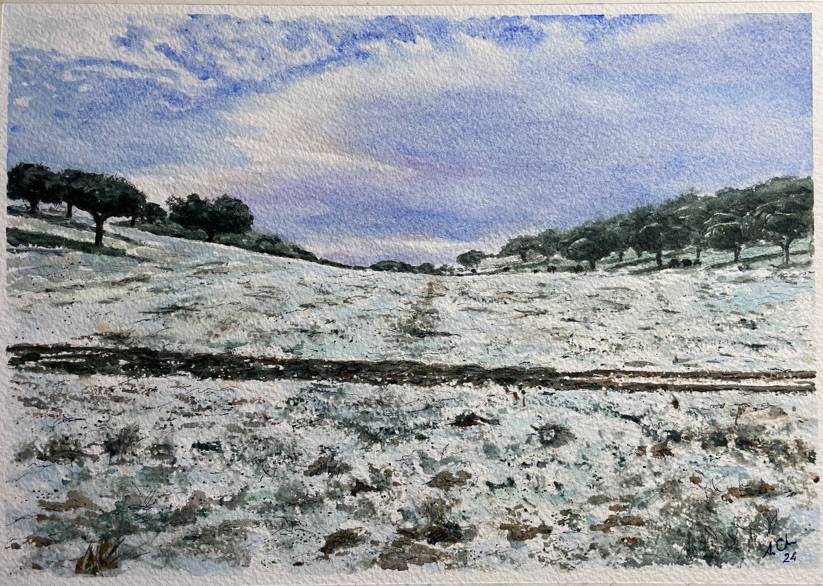 <a href="/G_JoseCruz/">Ganadería José Cruz</a> escarcha al amanecer en “Cabezal Viejo”