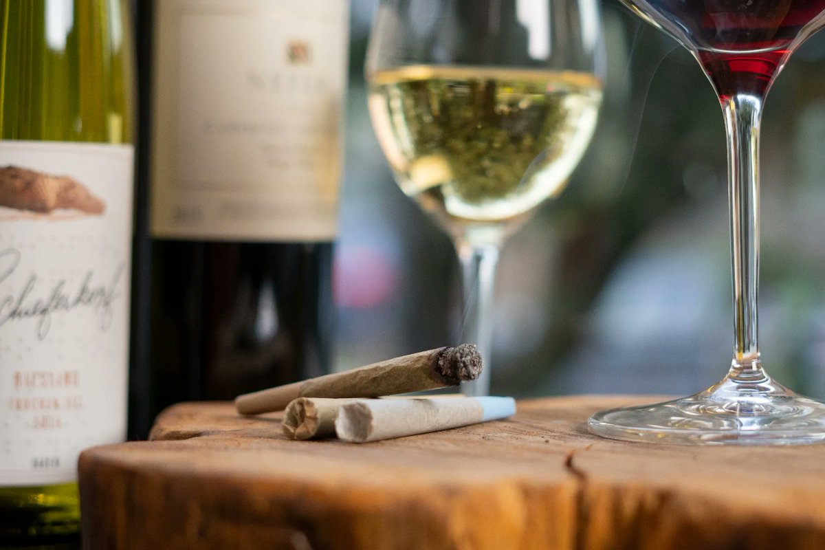 Similar to wine, the environment where cannabis is grown influences its flavor and effects. From mountain-grown strains to coastal cultivations, each region’s terroir contributes to a unique cannabis experience