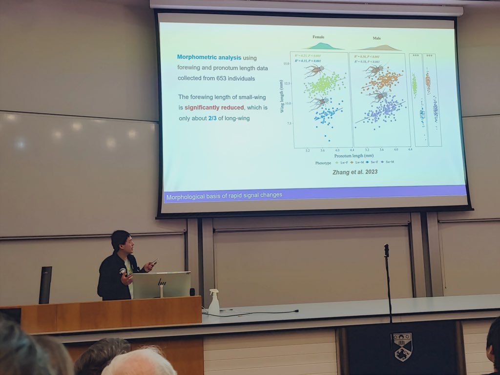 Renjie Zhang 张仁杰 (@renjie__zhang) on Twitter photo My first talk was done at <a href="/popgroup/">Population Genetics Group</a> in my home ground at University of St andrews yesterday, it’s really busy week with experiments and conferences going simultaneously…but happy to meet old friends and new faces
Looking forward to more talks if I have time to do so, see u soon! My first talk was done at <a href="/popgroup/">Population Genetics Group</a> in my home ground at University of St andrews yesterday, it’s really busy week with experiments and conferences going simultaneously…but happy to meet old friends and new faces
Looking forward to more talks if I have time to do so, see u soon!