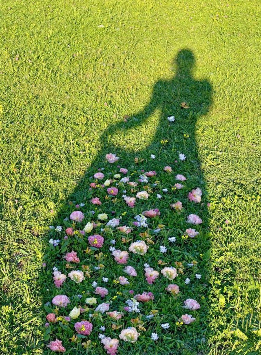 dazzlinghavens's tweet photo. 💐 https://t.co/g7c3cajppB