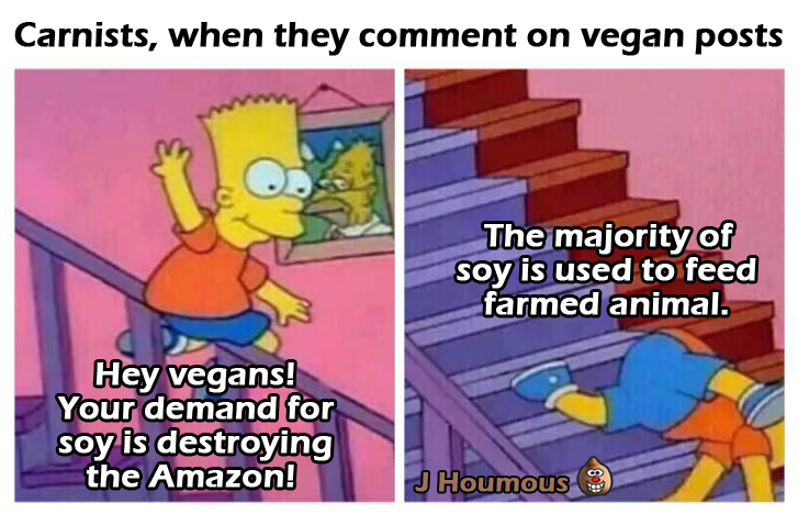 j_hummus's tweet photo. #veganmemes #vegetarianhumor #Vegan #vegan #deforestation #Soybean #environment #Amazonia  #vegetarians #vegetarianism #VeganForTheAnimals #carnism #meateaters #nonvegans #carnists #goveg #GoVegan #nomeat #meatisnotforhumans #meatless #ethics https://t.co/5xpFBWKTdj