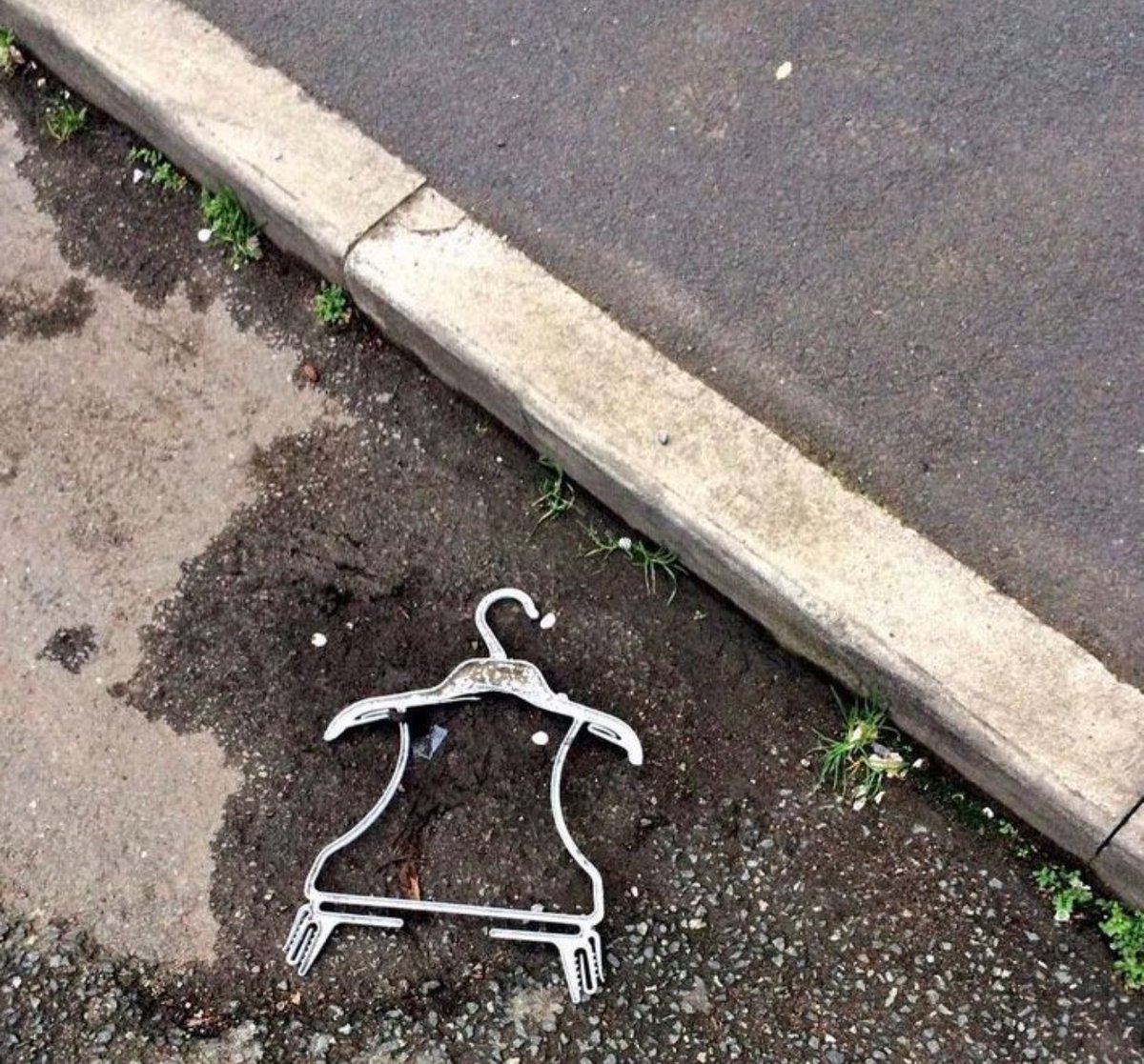 Just found a penguin skeleton in the road. RIP little fella.