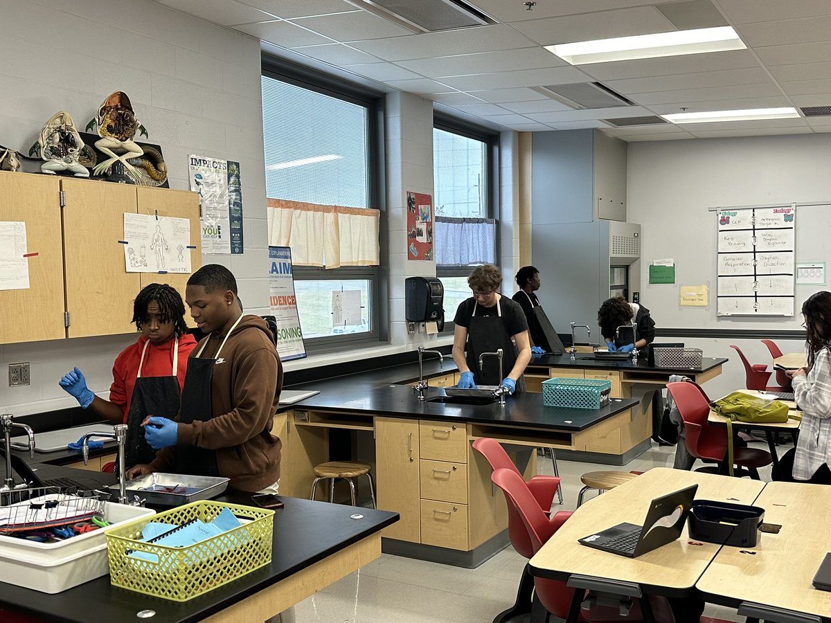 cottrellcorner's tweet image. Crayfish dissection for the #juniorseniorzoologists!  The arthropods are a huge group.  #AAGV #vikesonthemove #vikingdiff