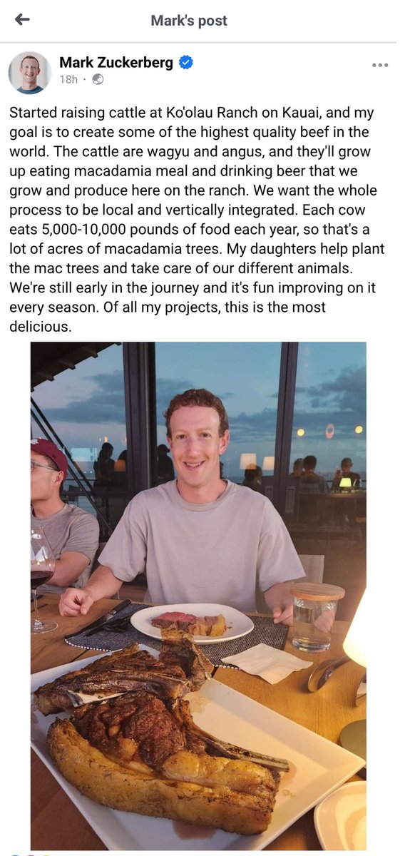 #MarkZuckerberg is planning to raise cattle at Koolau Ranch on Kauai for the sole purpose of producing #WagyuBeef (Japanese Black, Japanese Brown, Japanese Polled &
Japanese Shorthorn)

Whereas #sacredcow/#GauMata is 
Bos indicus/Bos taurus indicus (Camel #cow or humped cattle)