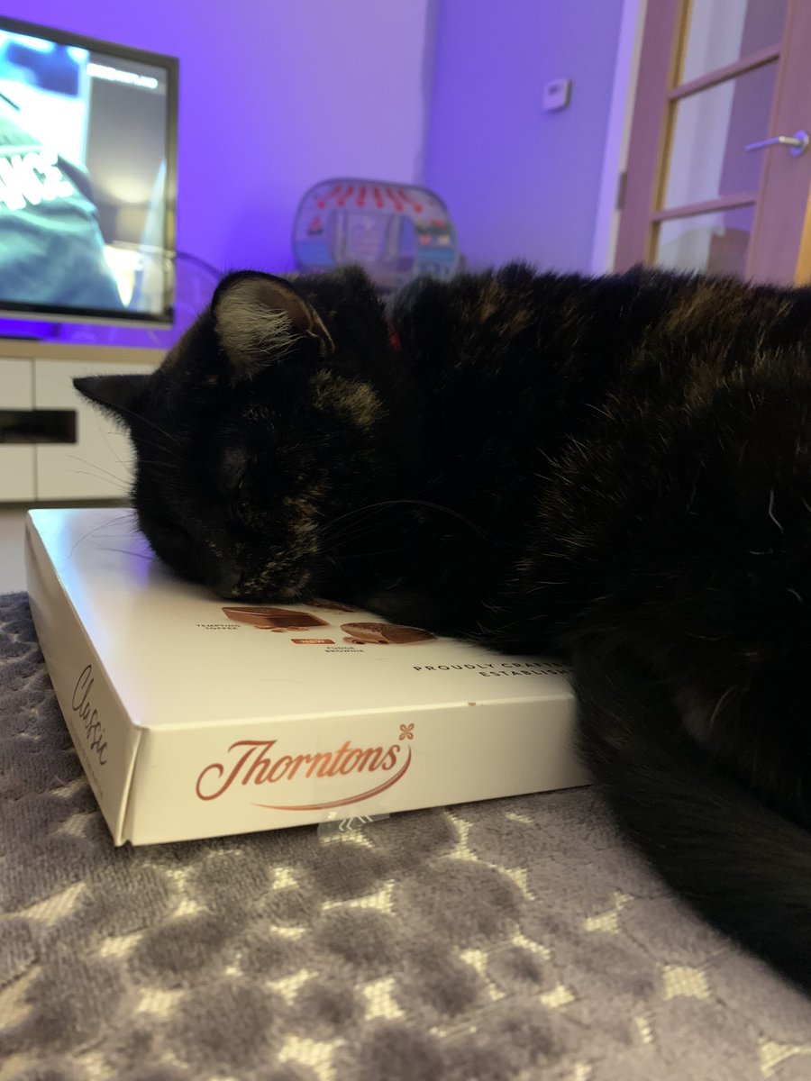 No, Daddie, no more chocolate for you! I keeps the box closed 😹🐈‍⬛🐾🍫