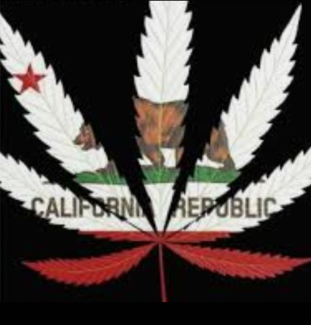 LvValiant's tweet photo. Wassup Stoney Homeys
About that puff puff time here on the west coast!
#LAWeed #WestCoastHighLife https://t.co/LrCchu2A2q