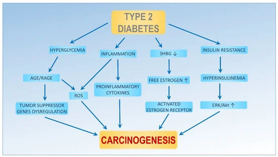 A very interesting review🙌🏻😱 on the complex relationship between diabetes and breast cancer raises crucial considerations in treatment decisions, especially in women with comorbidities. The review 🕵🏻highlights the undeniable connection between diabetes and an increased risk of