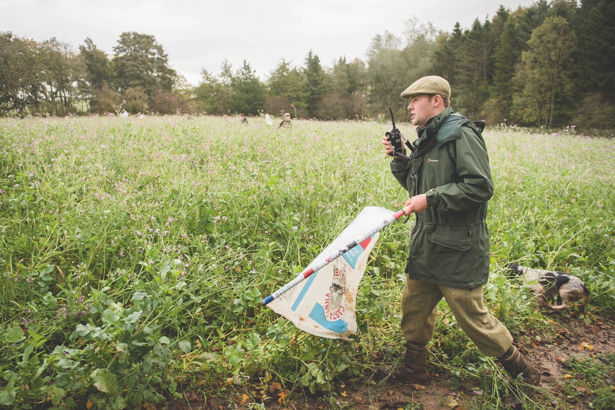 <a href="/BASCnews/">BASC</a> has been busy on the educational front, arguing for improved opportunities in land-based sectors, as Conor O’Gorman reports.

To read more, visit: tinyurl.com/3vjh2447