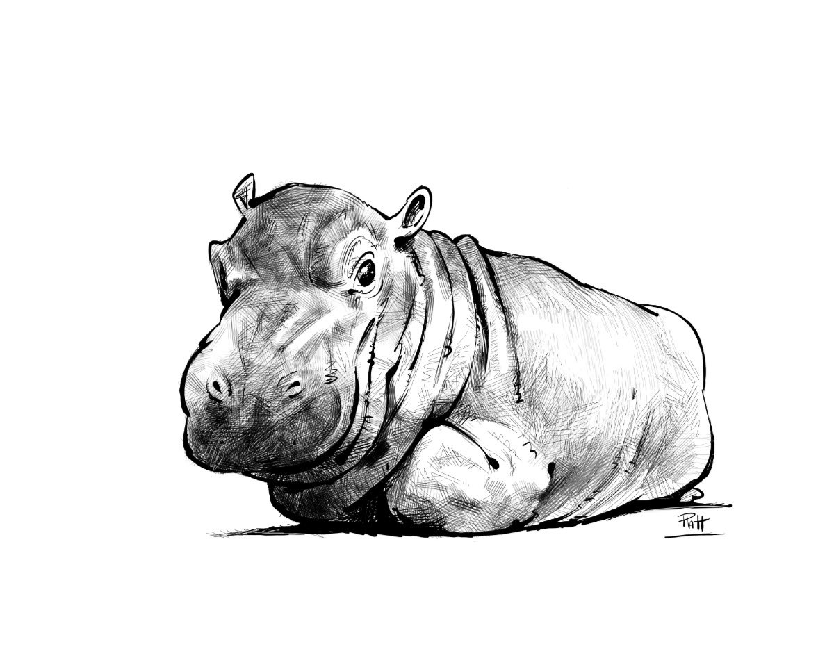 A late catch up drawing for last week's #DrawingHive! The subject, a personal favorite of mine, Fiona the Hippo!
.
#Fiona #Fionathehippo #TheCincinnatiZoo #CincinnatiZoo #babyhippo #hippo #illustration #drawing #animals #zoo