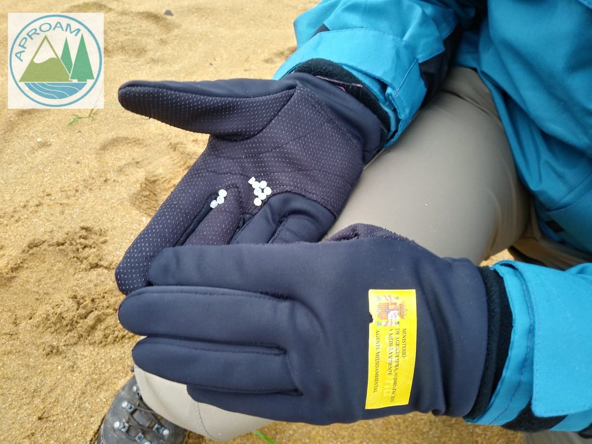 APROAM 🏞️ tweet media