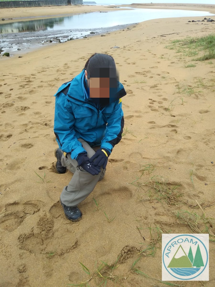 APROAM 🏞️ tweet media