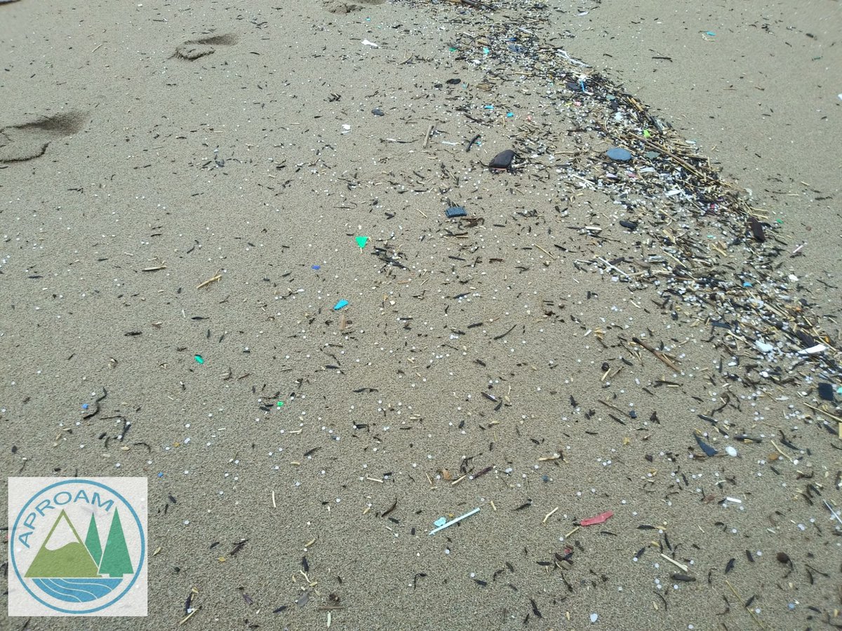 APROAM 🏞️ tweet media