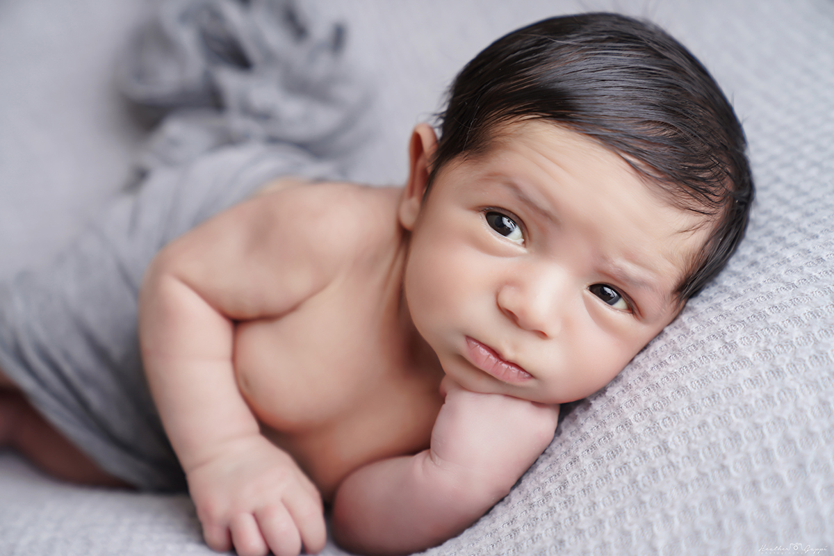 HeatherGappi's tweet photo. Capturing the timeless beauty of your little one. Welcome to the world, sweet newborn.⁠
⁠
Book Now:⁠
📩  info@heathergappi.com⁠
☎️ (248)798-6591⁠ https://t.co/y63rZfynLV