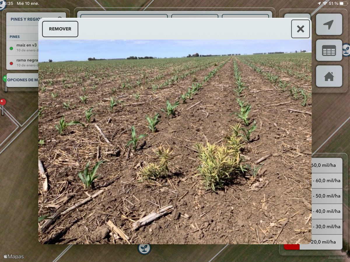 Monitoreando con <a href="/FieldViewArg/">FieldView Argentina</a> lotes aplicados con ADENGO (para control de Rama Negra y Nabolza) y maices <a href="/DekalbArgentina/">DEKALB Argentina</a> de segunda.
Excelente control de malezas y una muy buena implantación a pesar de la falta de agua

#LER
<a href="/AgroBayerAR/">Agro Bayer</a> 
<a href="/Bayer4Crops/">Bayer | Crop Science</a>