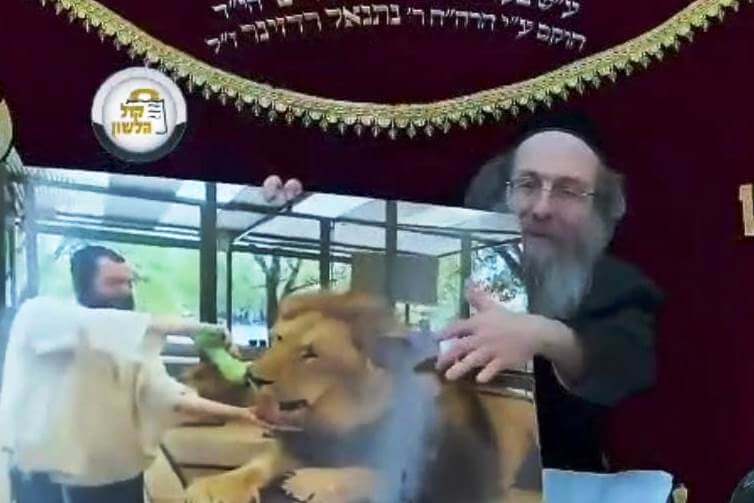 Hasidic1 tweet media