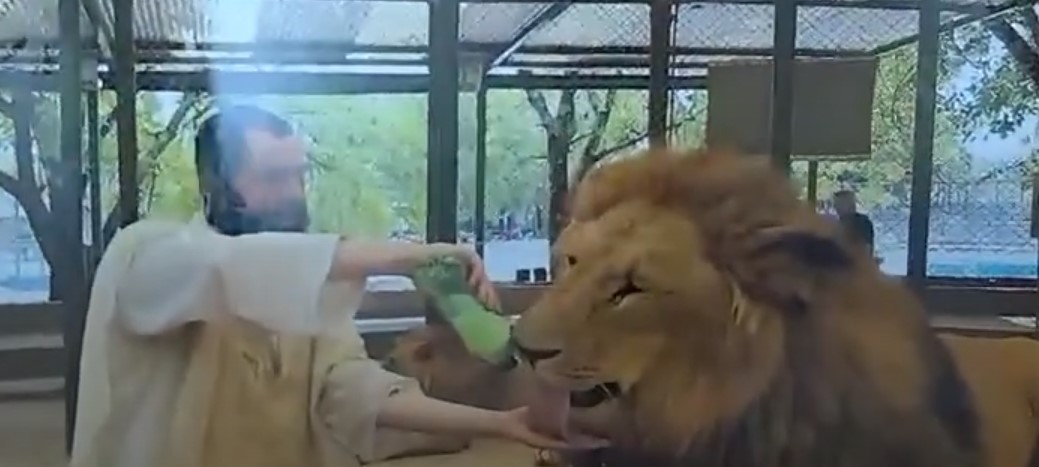 Hasidic1 tweet media