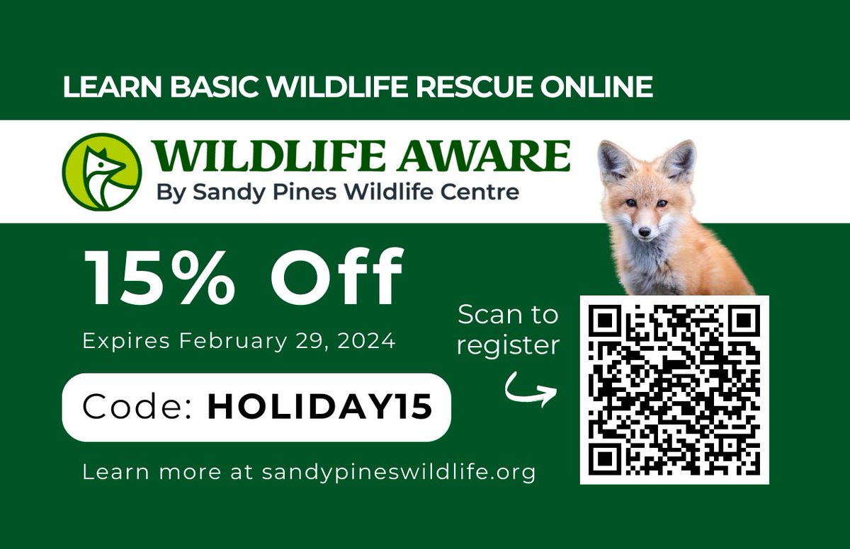 Our online Wildlife Aware Course is 15% off until the end of February! Learn how to identify wildlife in distress and how to safely transport them to our centre for treatment.  Regular course cost is $98. Discount code is HOLIDAY15 

Register here: …nes-wildlife-centre.mylearnworlds.com/course/workpla…