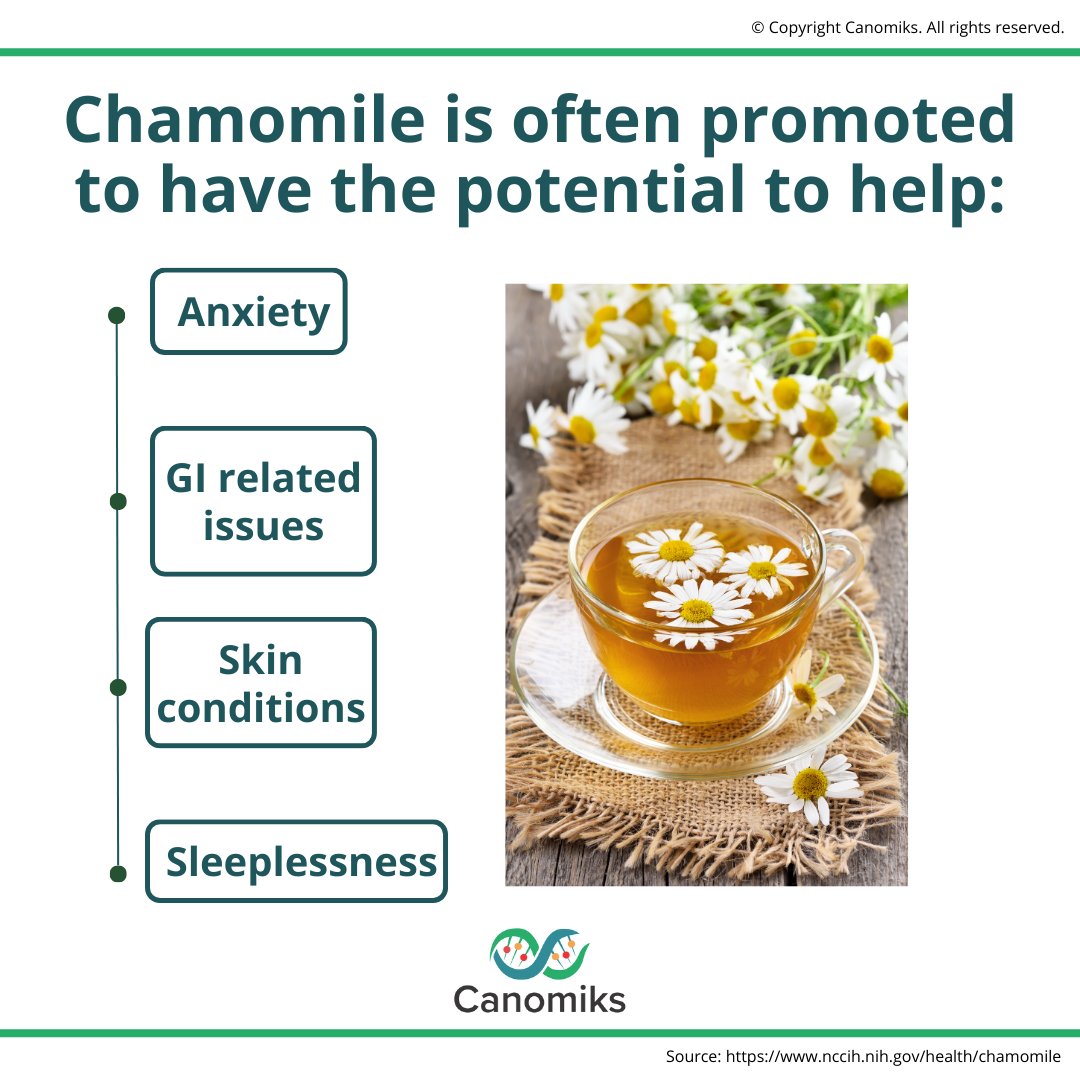 Our January #botanical spotlight is #Chamomile. Known for its calming properties, chamomile has a history of traditional medicinal use, often used in teas for relaxation and sleep. Chamomile is also used in cooking, #skincare products, and #aromatherapy. #foodasmedicine #canomiks