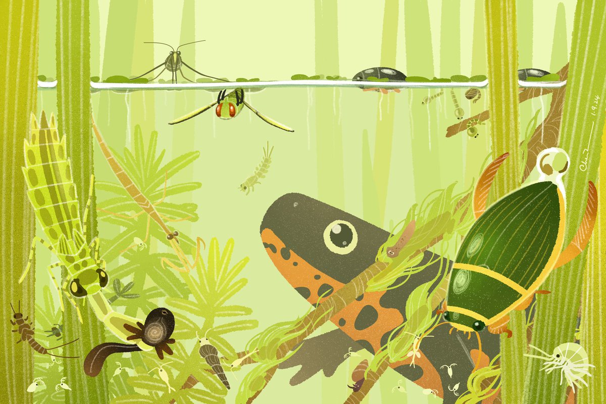 czbugsart's tweet photo. Secret pond https://t.co/Fuf3giU6gL