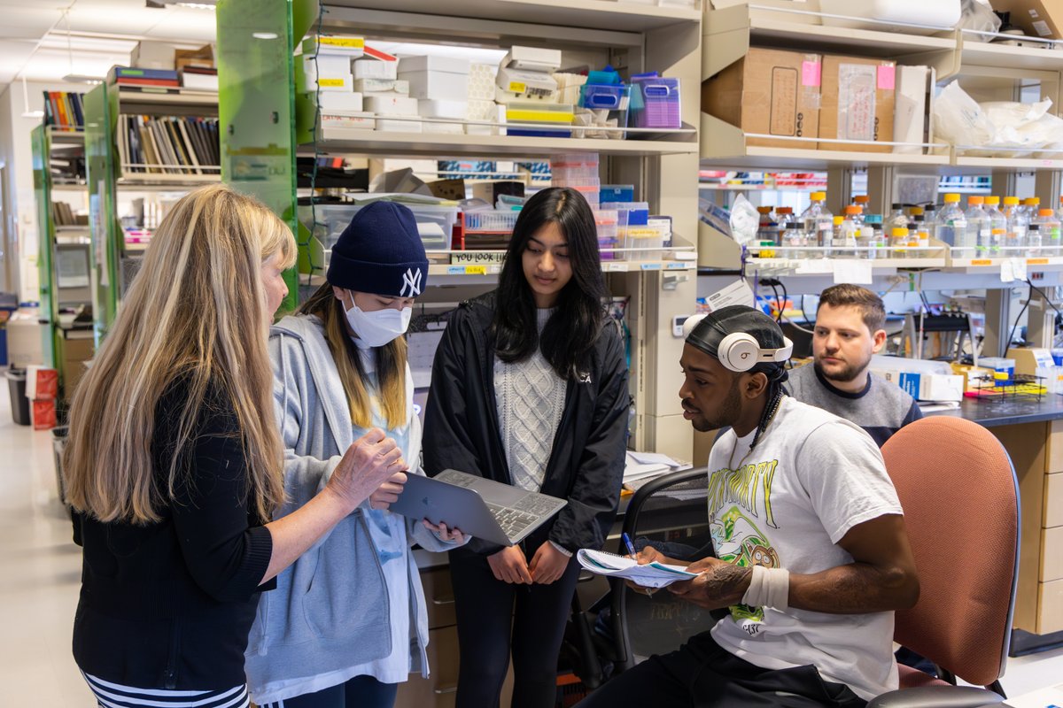 UWISCRM's tweet photo. Apply by January 19th for the summer 2024 ISCRM Research Experience for Undergraduates. #REU

Join a community of scientists at the forefront of regenerative medicine, biology, and engineering. 
Housing and stipend included! 

https://t.co/sYxF2oSxG8 https://t.co/gBGngmM7Vt