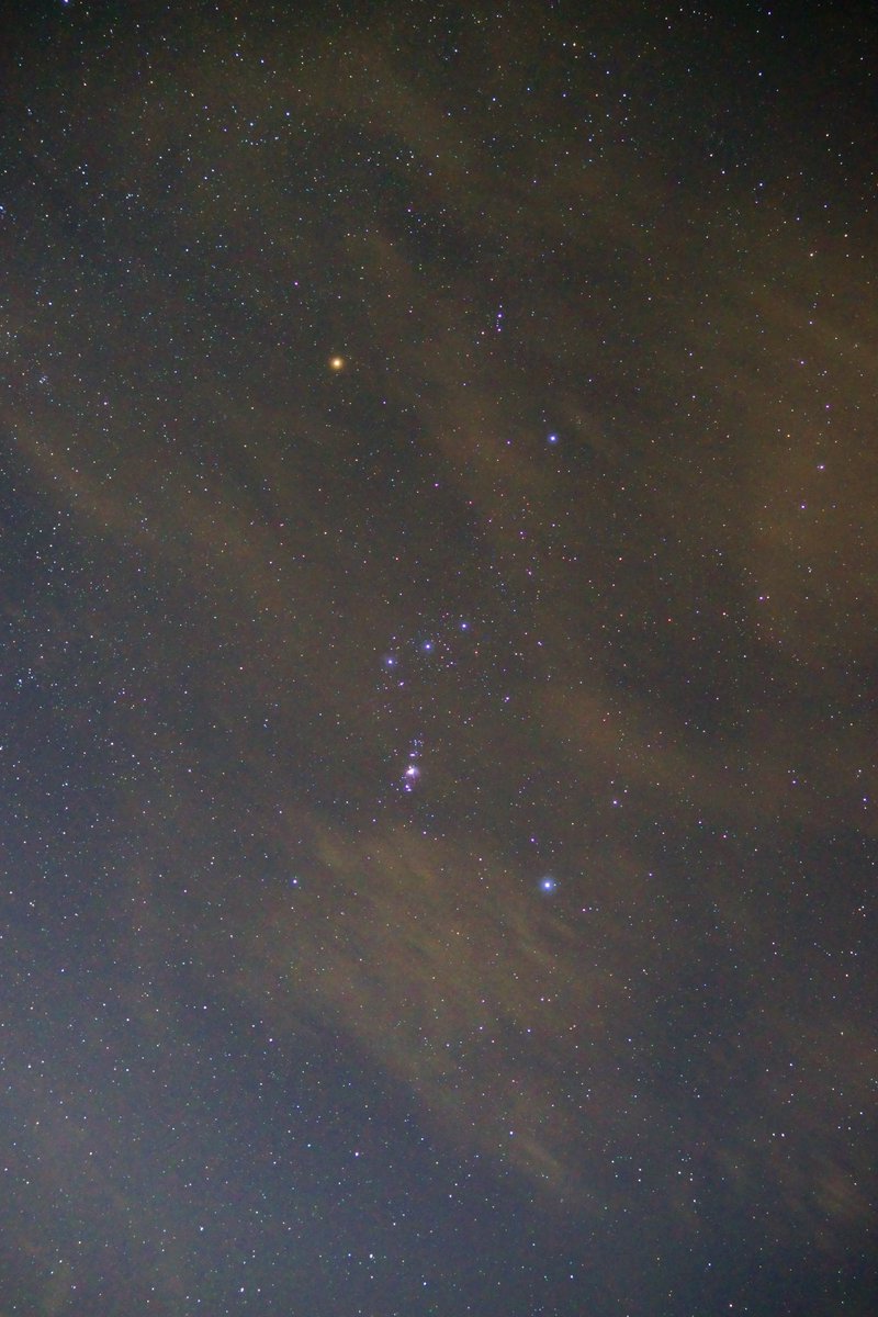 Kevin_Kangaroo's tweet photo. Random Orion single exposure with slight cloud cover. Looked pretty cool 😎 https://t.co/tbdS9e4YHC