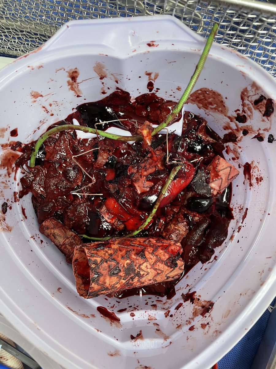 James H Black, MD tweet media