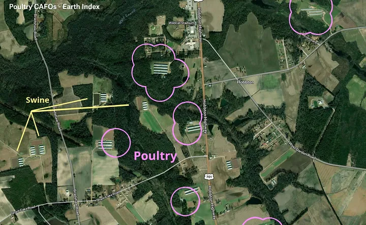 We found 5 billion chickens with human-in-the-loop AI model tuning via Earth Index. Here is an account of this work. medium.com/earthrisemedia…